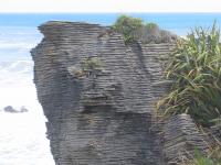 Albums/20060200-New Zealand 2006/20060205-Greymouth_Punakaiki/20